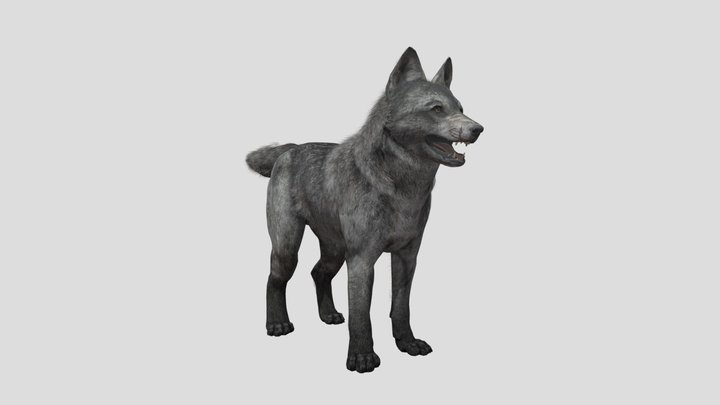 [Fan-made] COD: Ghost's Wolf Pup 3D Model
