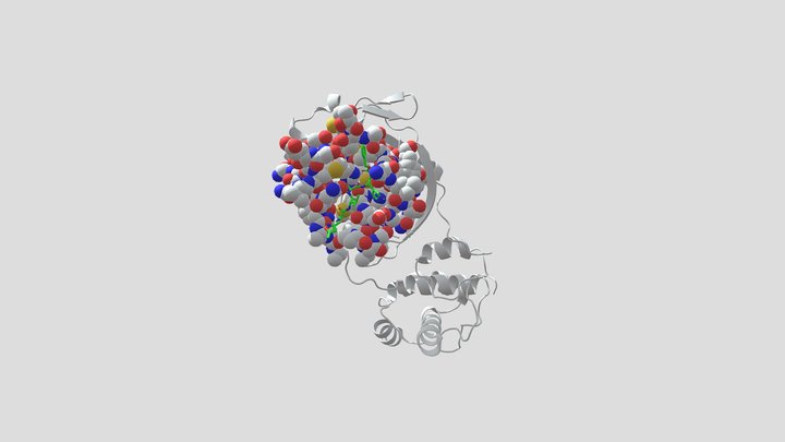 COVID-19 protease with N3 inhibitor 3D Model