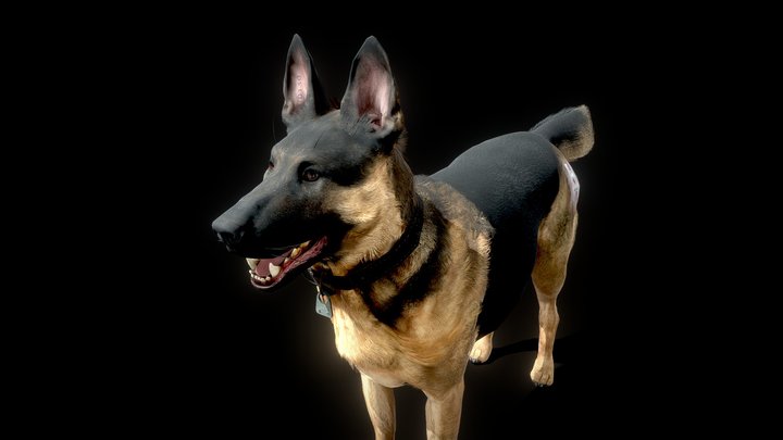 Riley 3D Model