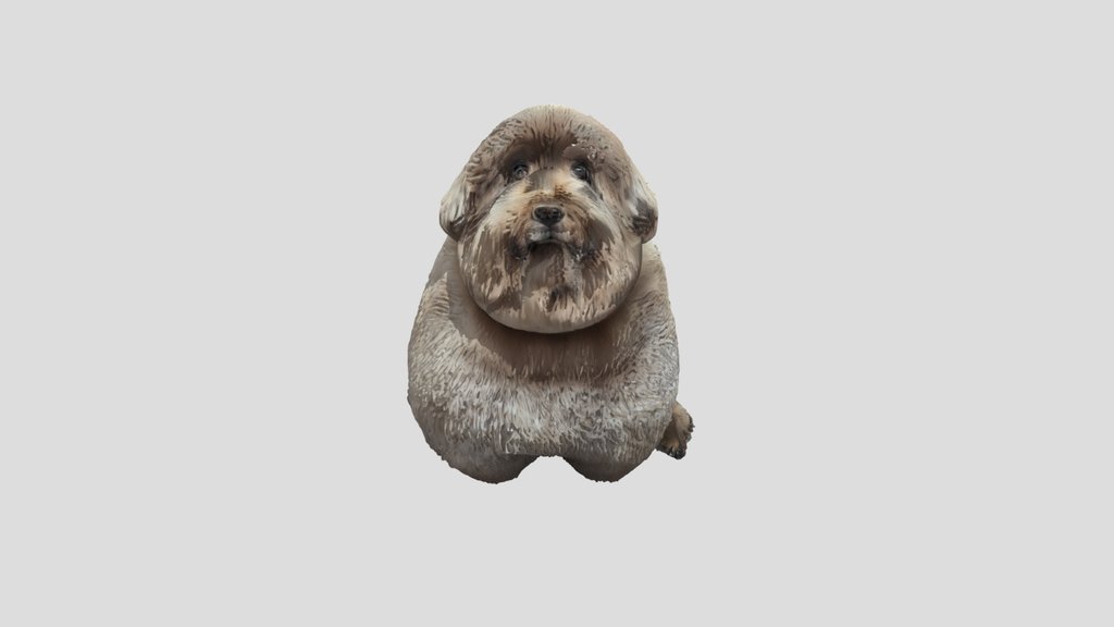 A fluffy