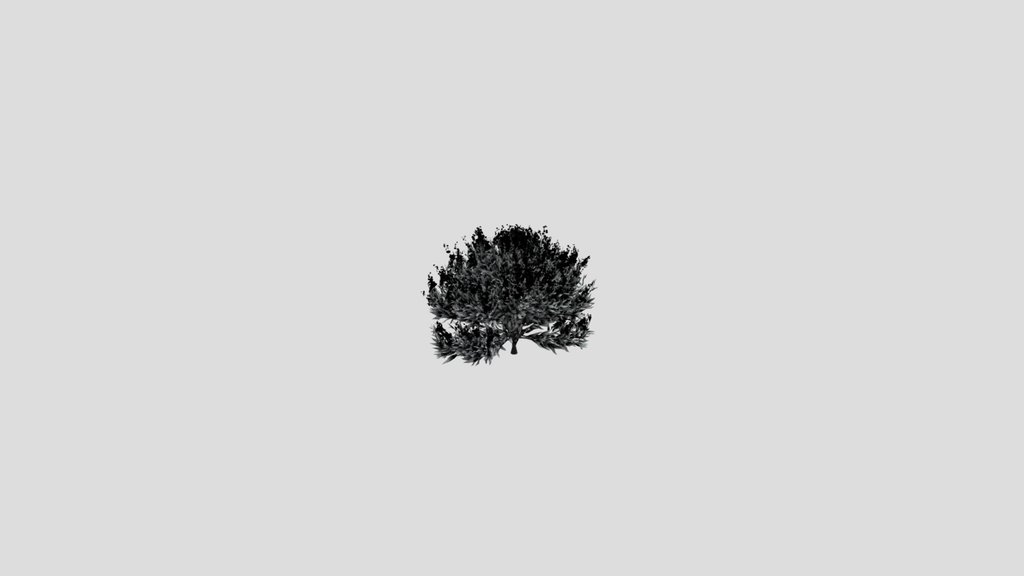 Shurb Caryopteris Bluebeard Animated