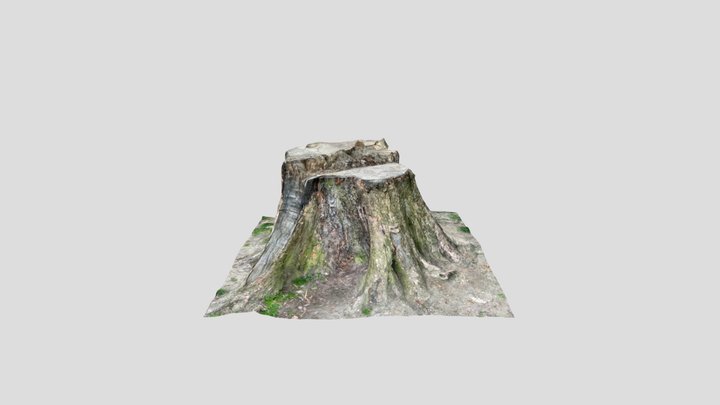 Stump_LidAR_HP 3D Model