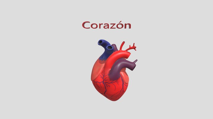 Corazon 3D Model