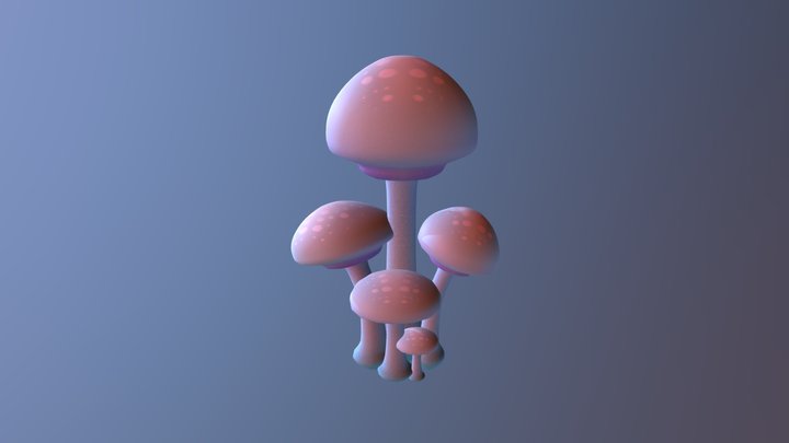 Mashwoom Cluster 3D Model
