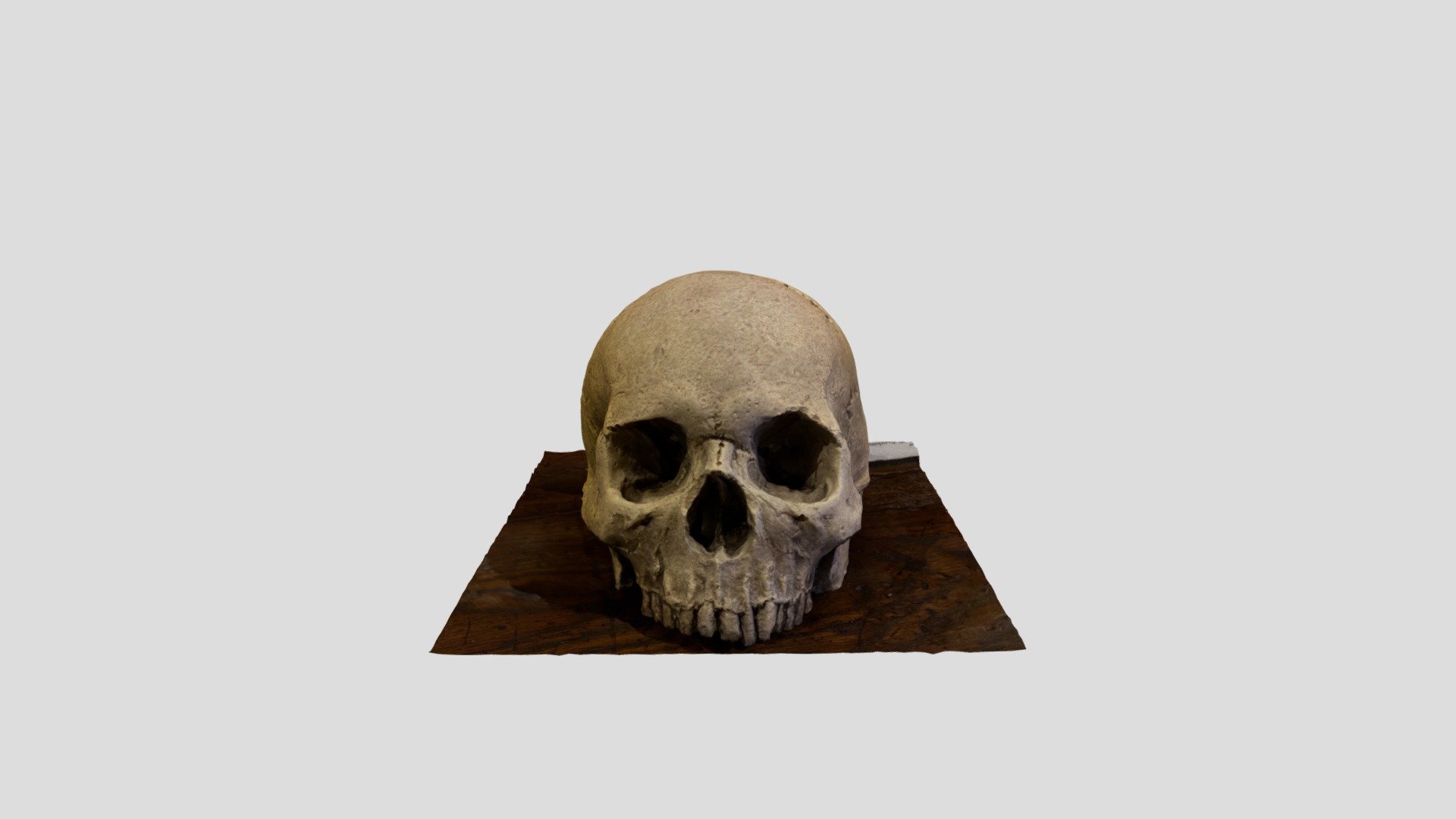 Barley Hall - Yorick