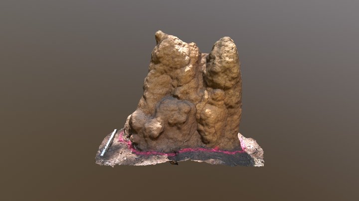 Termite mound Tp8-2016 3D Model
