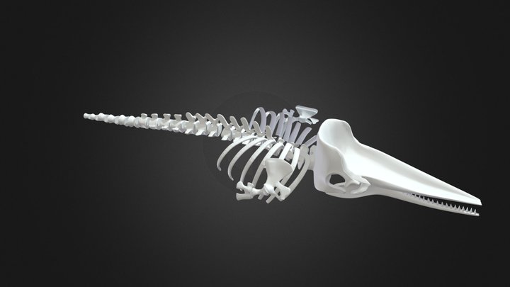 Mungume 3D Model