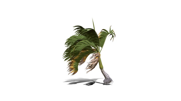 Realistic HD Christmas palm (21/35) 3D Model