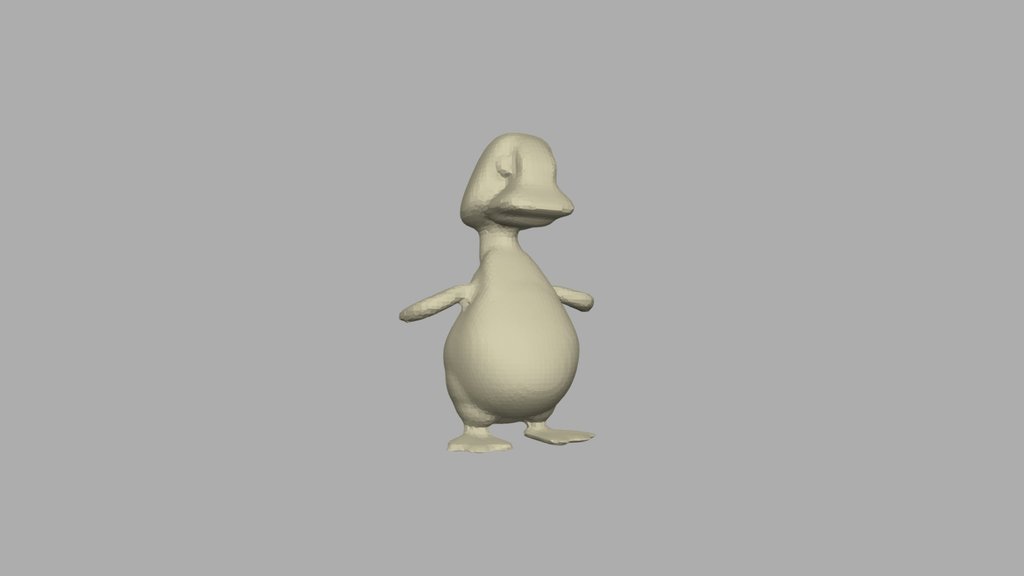 Baby goose