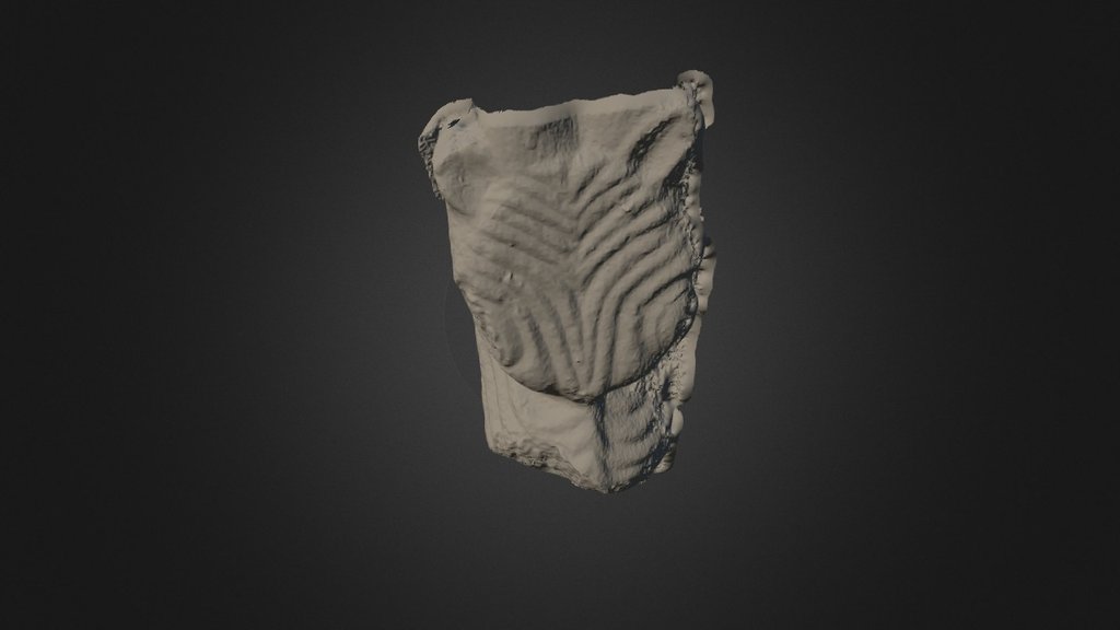 Carved Animal - Abbey of Knock Moy
