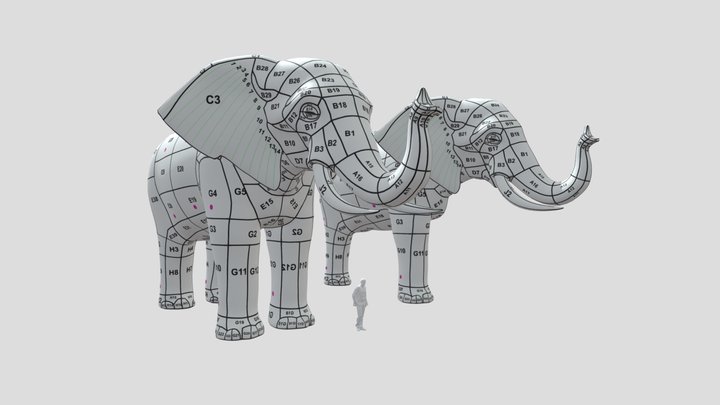 Elefante 28x50 3D Model