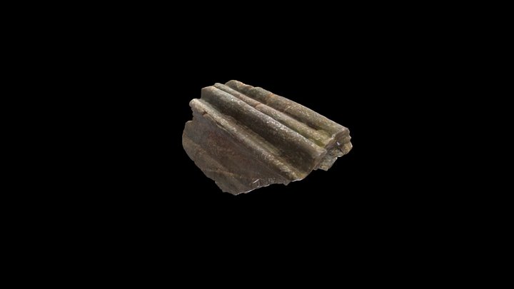 Scan Plis 500k polygone 3D Model
