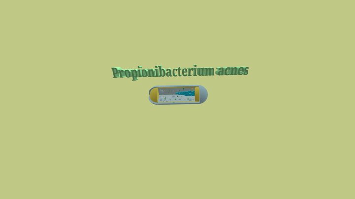 microughs_propionibacteriumacnes_A.C.B, 3D Model