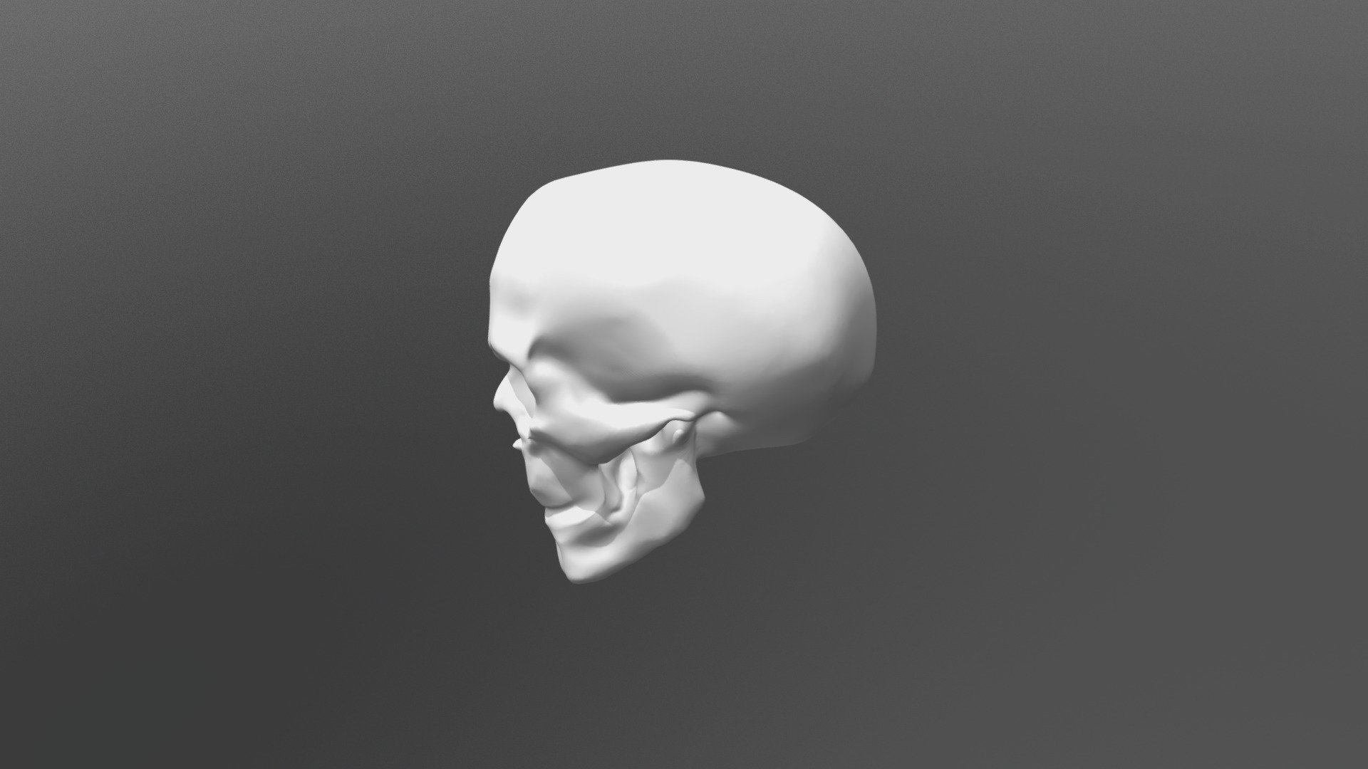 Skull  using SCLUTRIS