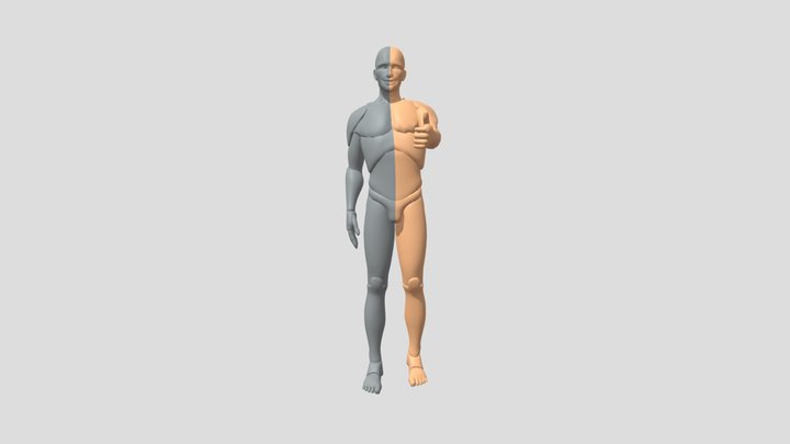 Blender IK and FX Rigged Doll - Male 3D Model
