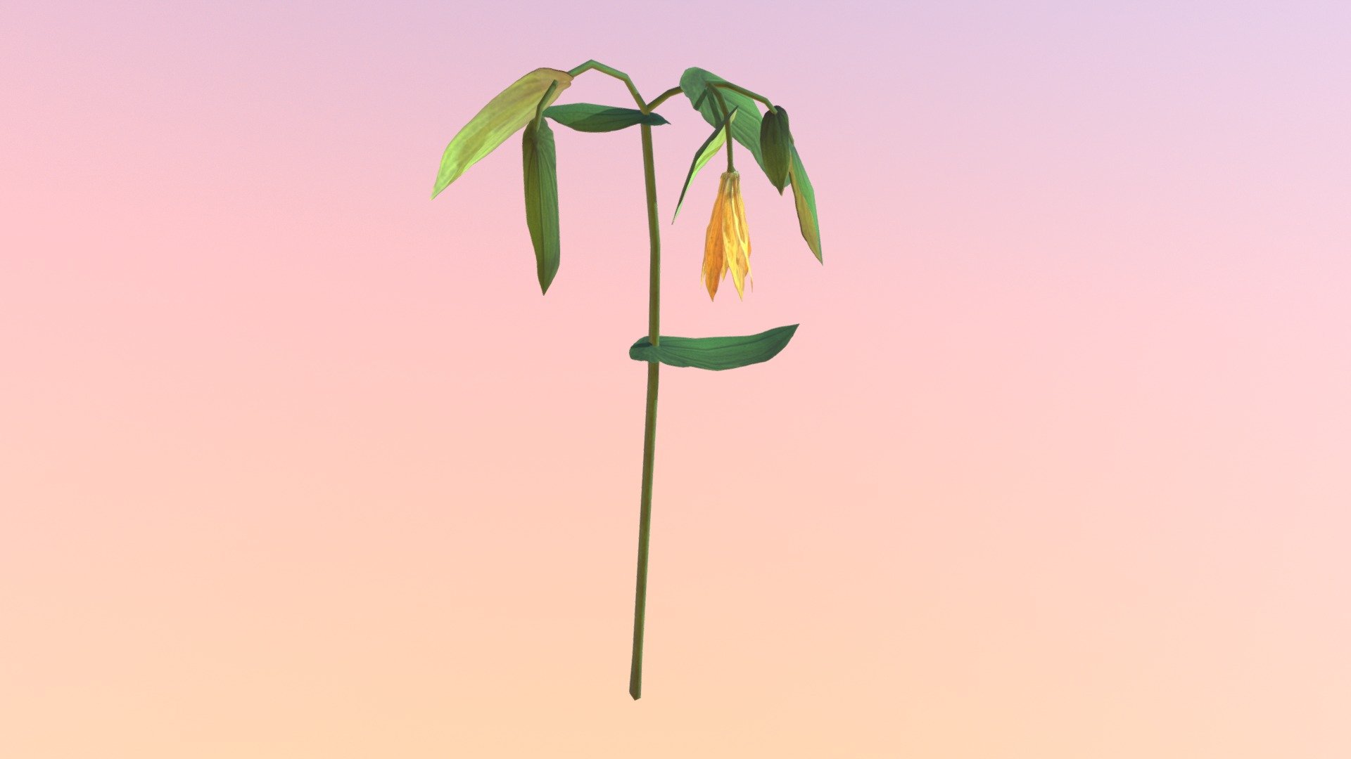 Pending:LowPoly Bellwort (Uvularia grandiflora)
