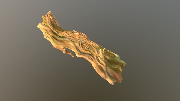 Tronquito 3D Model