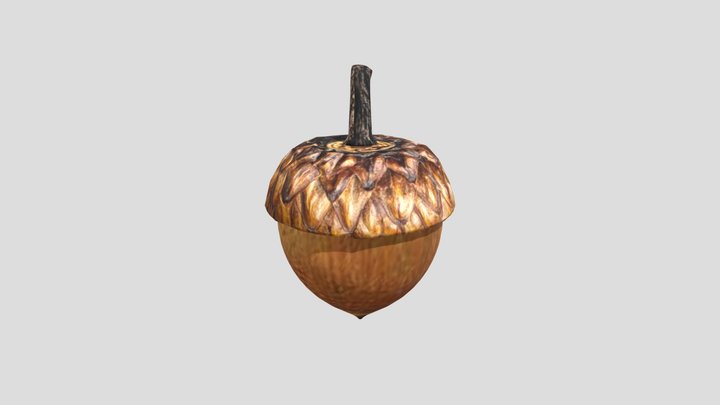 acorn 3D Model