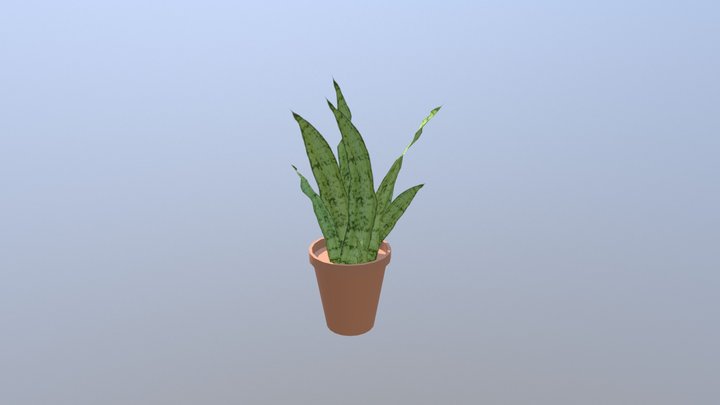House Plant Finish 3D Model