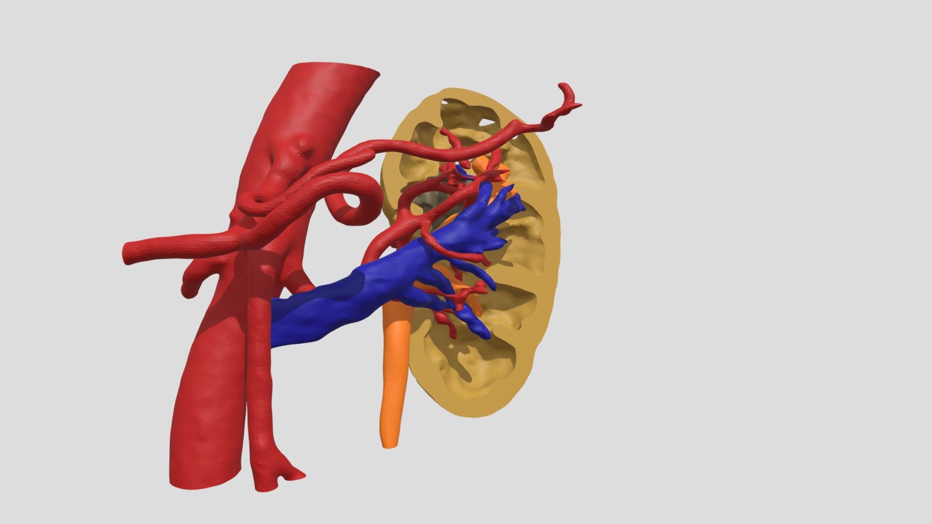 URO07AA23042021_Versione01 — Sketchfab embed 3D viewer