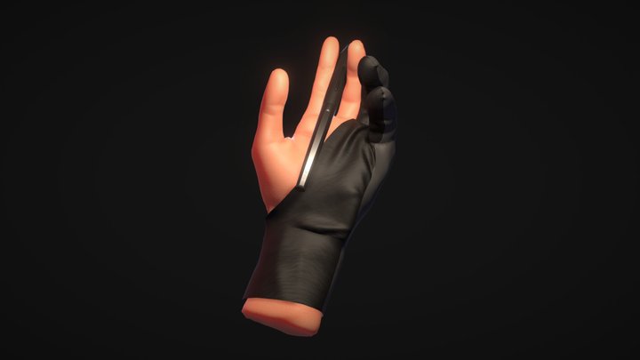 The Hand 3D Model
