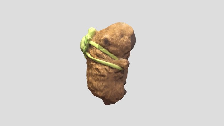 Segundo José Pazos - Objeto 3D Model