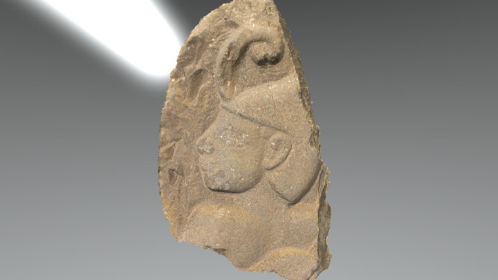 FGFP_2014_rlf_TG 3D Model