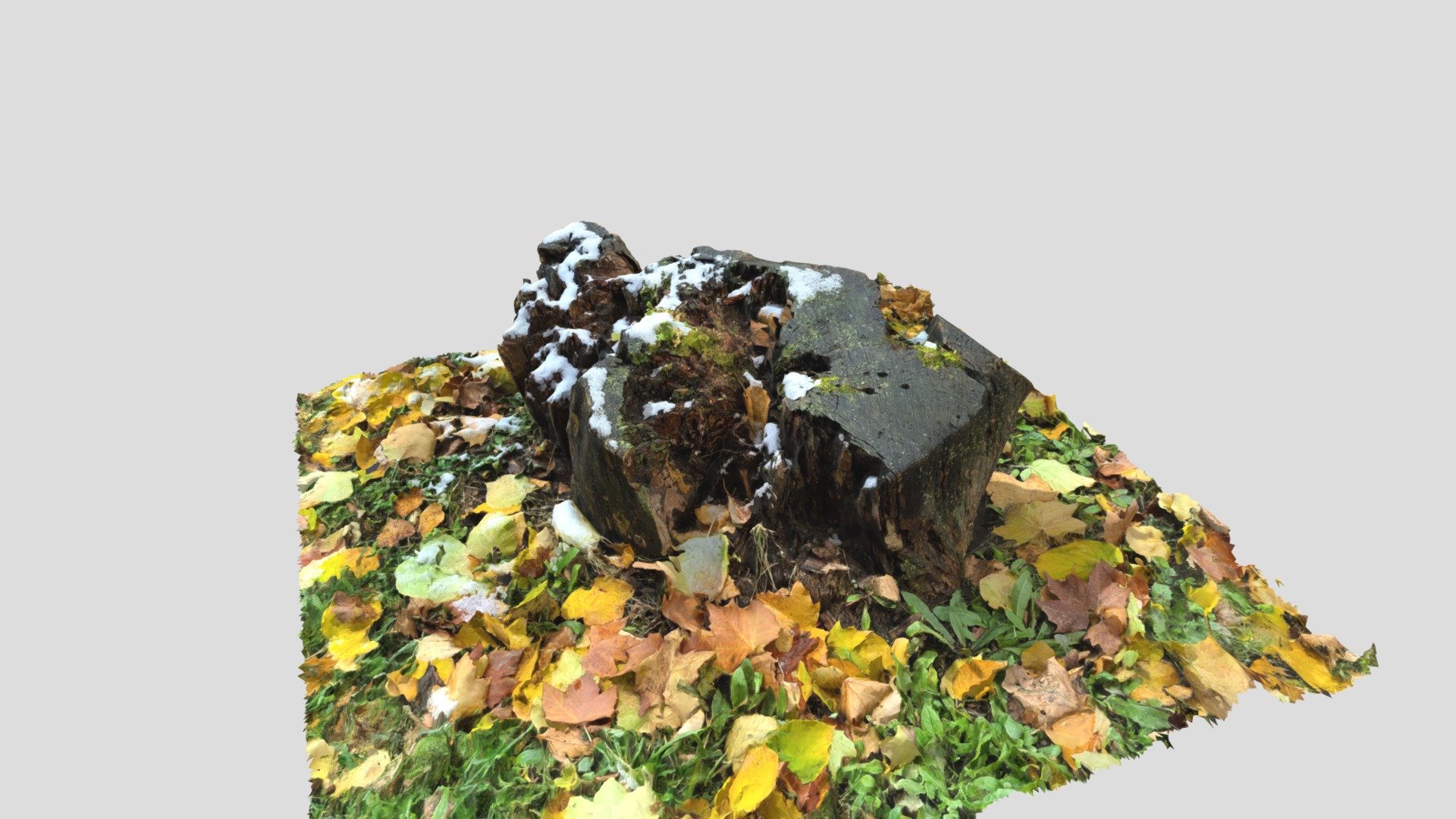 Stump