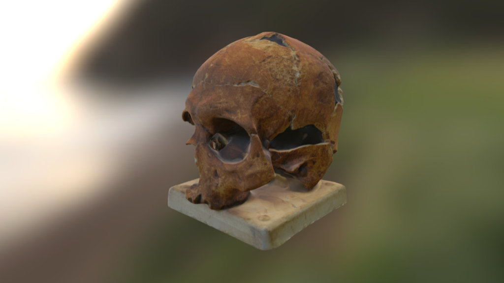 Skull1