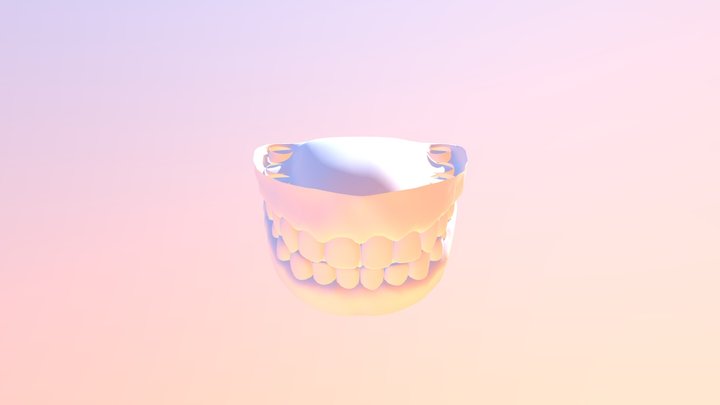 Teeth 3D Model