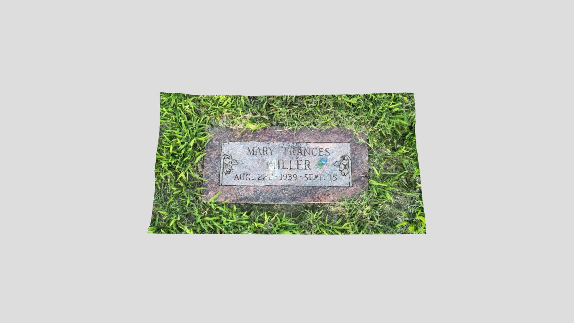 Mary Miller (Aunt)