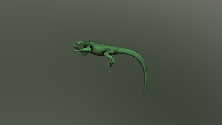 Green+ Iguana 3D Model