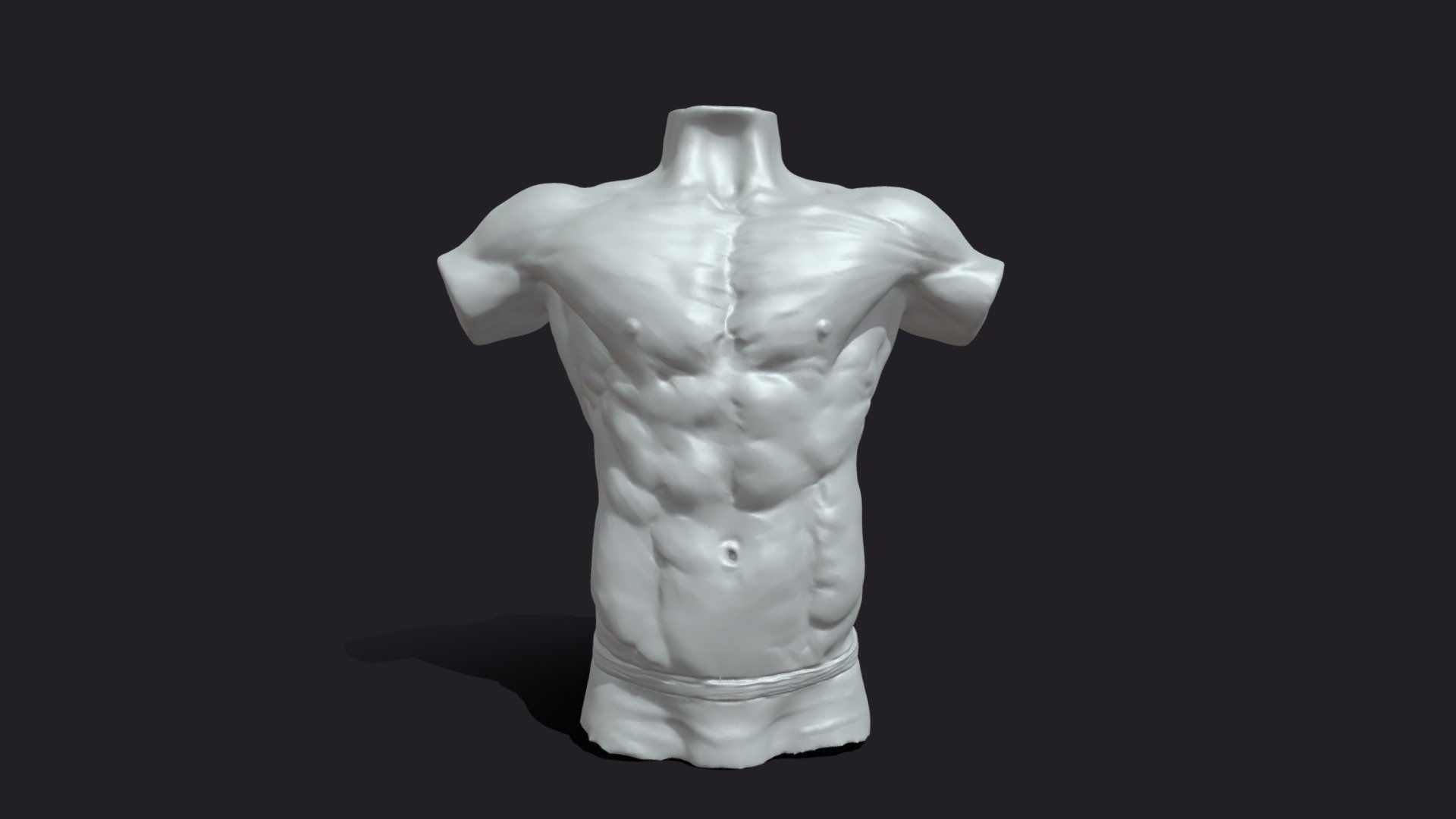 Male Torso (Decimated) - 3D model by SA Anatomy (@saanatomy) [8b2e4e1 ...