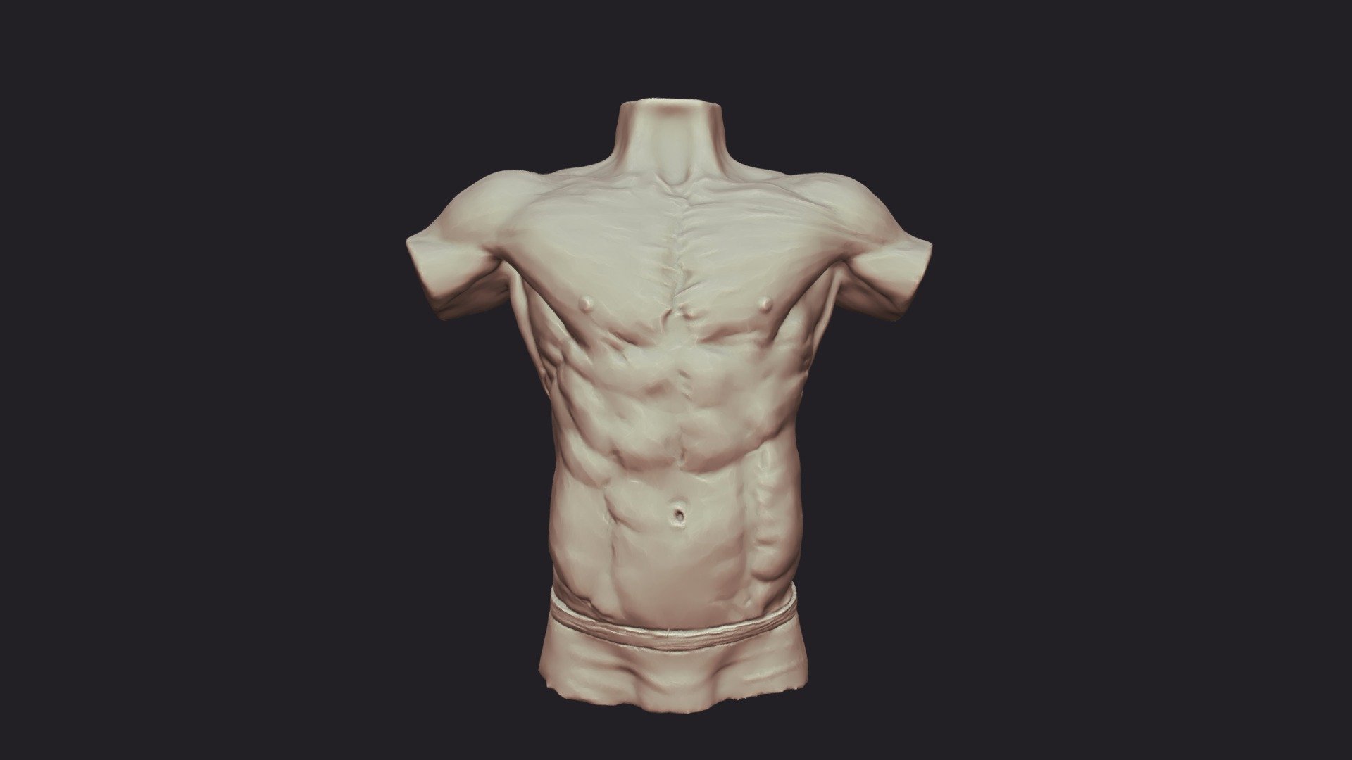 Male Torso (Decimated) - 3D model by Adrian Ngwenya (@saart188 ...