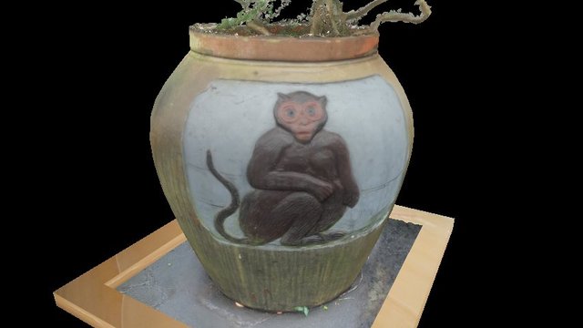 猴肖花缸.火山口