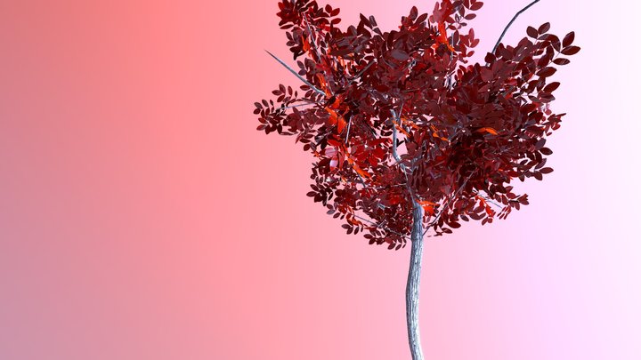 tree 3D Model