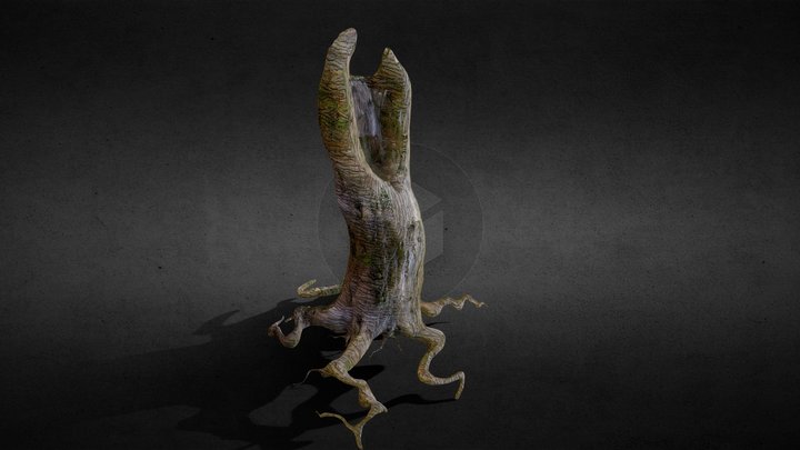 Tree - No leaves 3D Model