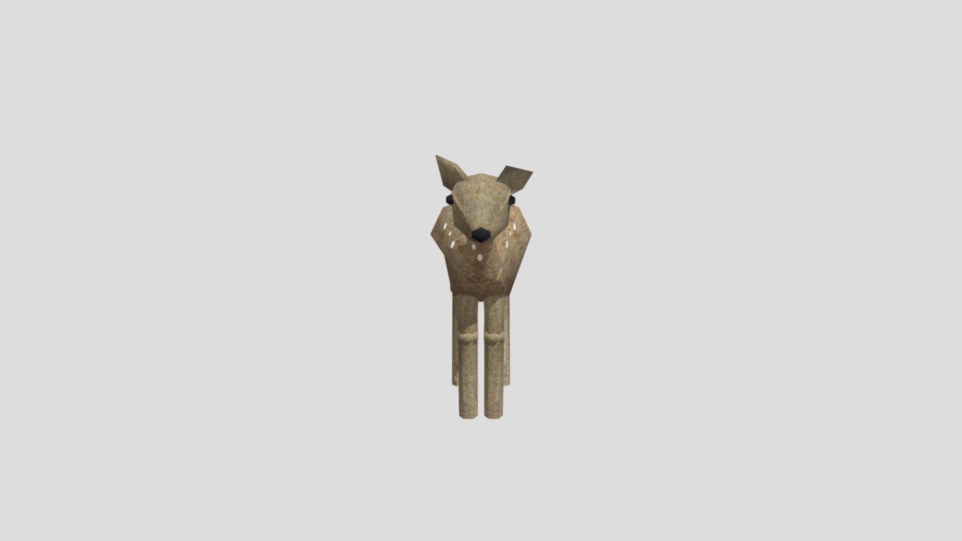 deer