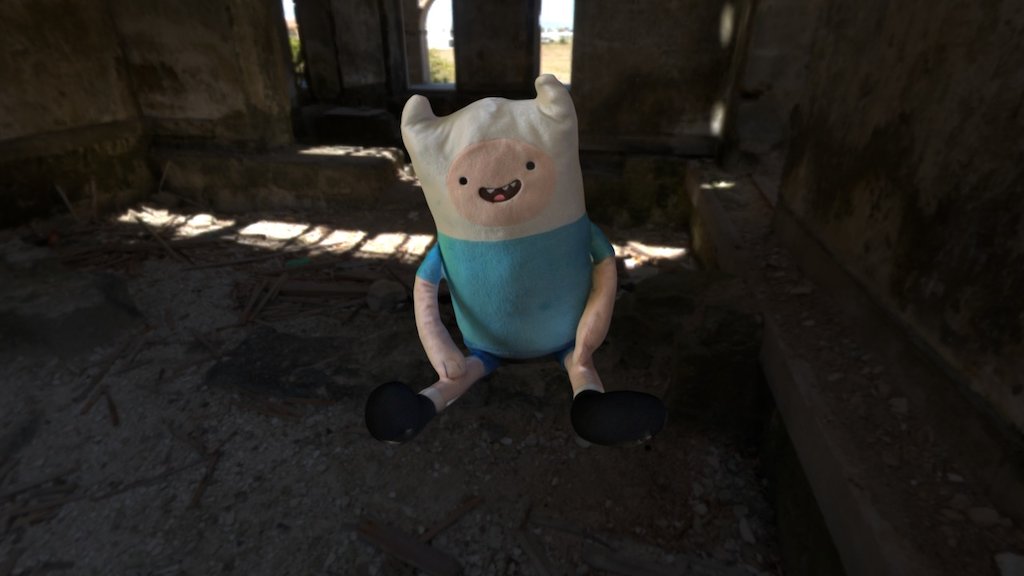 Finn