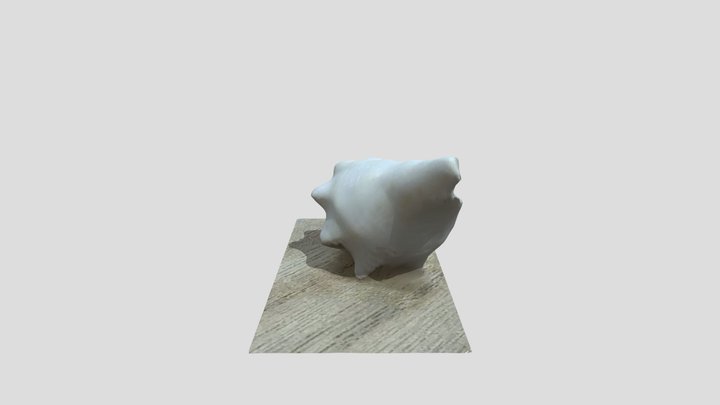 Small Crab Shell 3D Scan Park Manor v1 3D Model