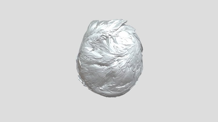 Feathered Hat CS.1950.249 OBJ Only 3D Model