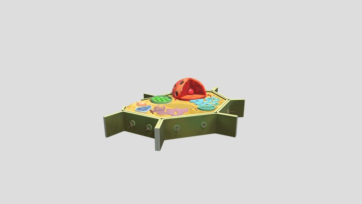Sel Tumbuhan 3D Model