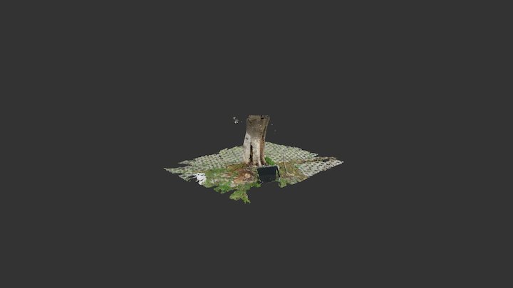 Trunk 3D Model