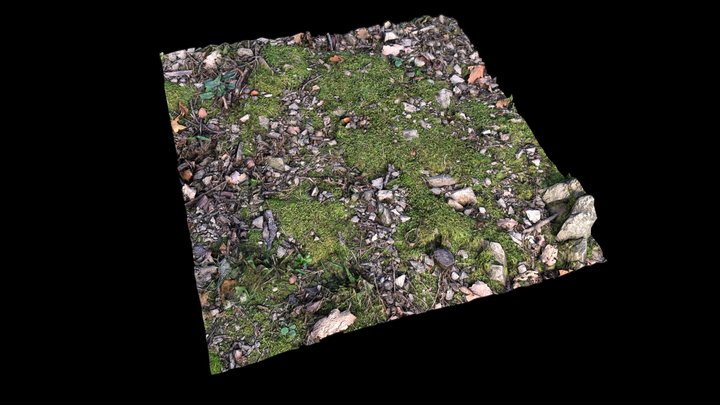 Ground moss fores square 2k – Gratis 3D-model STL