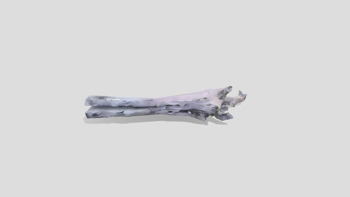 A piece of driftwood – Free 3D Model STL