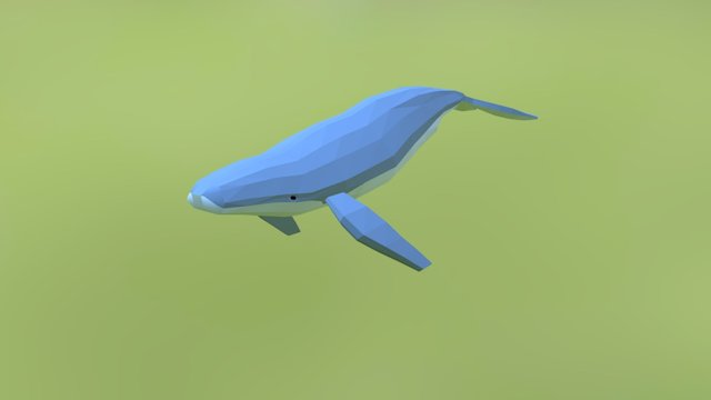 Whale animation 3D Model