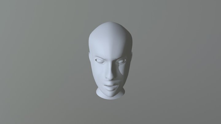 Finished Head Model 3D Model
