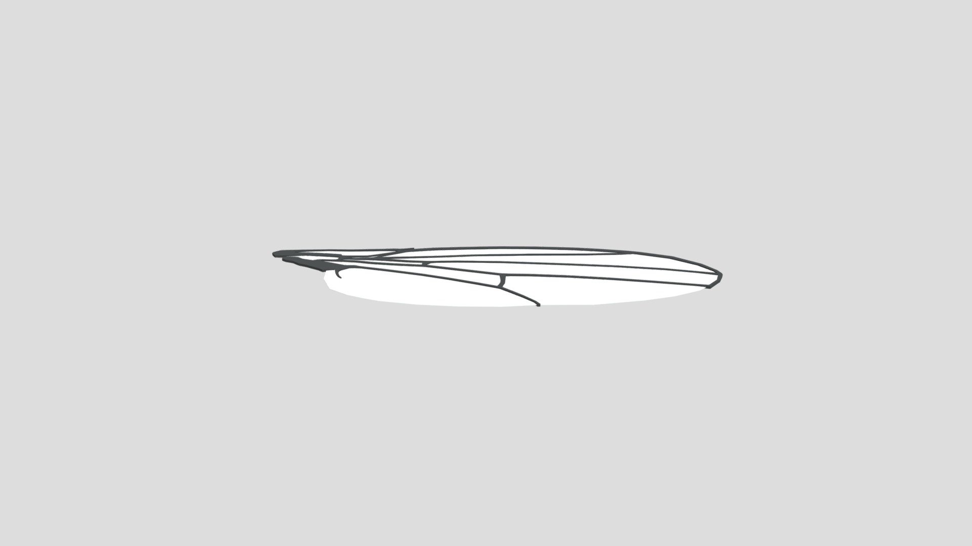 Fly wing from Poly by Google