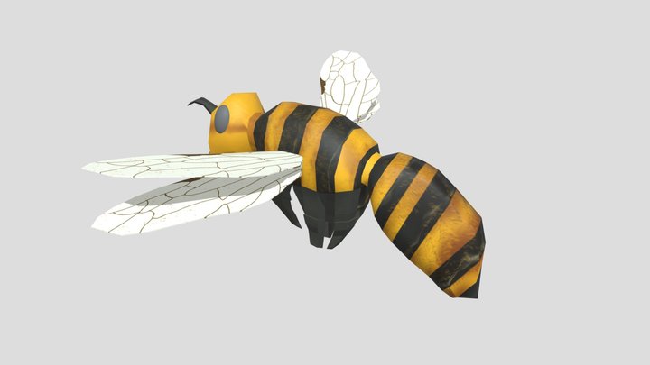 SMINSECTUPDATED 3D Model