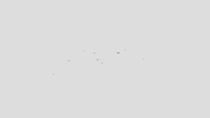 scene 3D Model
